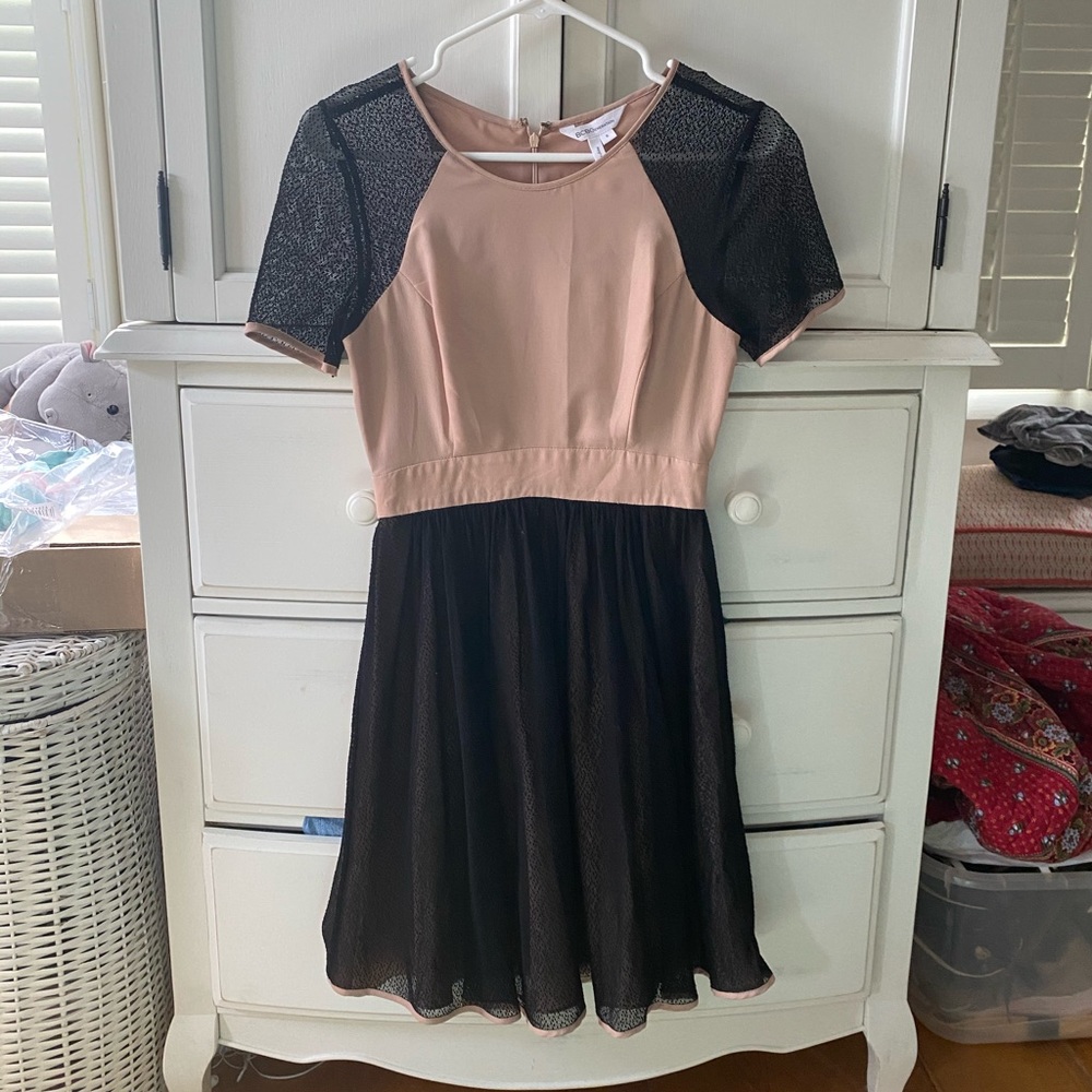 BCBG Fit and Flare Nude/Lace Dress